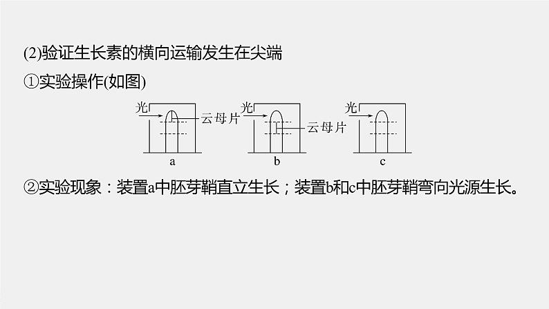 最新高考生物一轮复习课件（新人教版） 第八单元　微专题七　植物激素调节的相关实验探究07