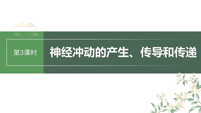 最新高考生物一轮复习课件（新人教版） 第8单元　第3课时　神经冲动的产生、传导和传递第3页