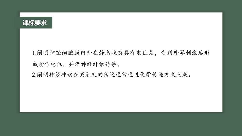 最新高考生物一轮复习课件（新人教版） 第8单元　第3课时　神经冲动的产生、传导和传递第4页