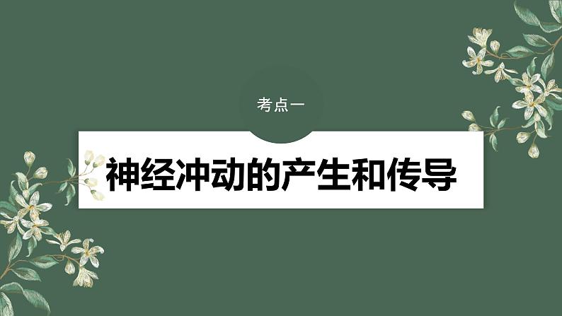 最新高考生物一轮复习课件（新人教版） 第8单元　第3课时　神经冲动的产生、传导和传递第6页