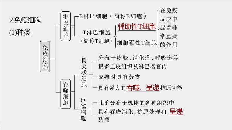 最新高考生物一轮复习课件（新人教版） 第8单元　第7课时　免疫系统和特异性免疫08