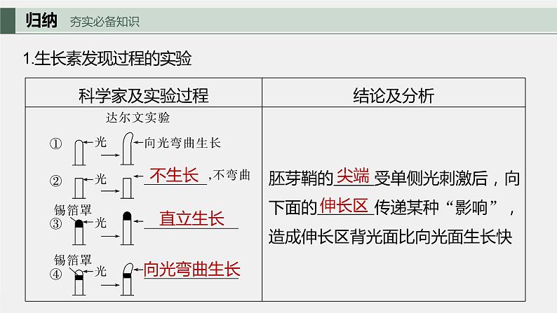 最新高考生物一轮复习课件（新人教版） 第8单元　第9课时　植物生长素及其生理作用07