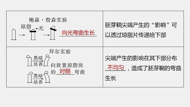 最新高考生物一轮复习课件（新人教版） 第8单元　第9课时　植物生长素及其生理作用08