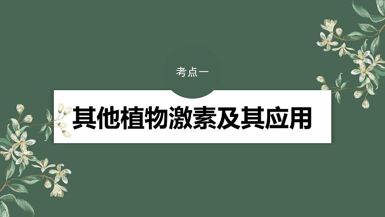 最新高考生物一轮复习课件  第8单元 第10课时 其他植物激素、植物生长调节剂及生命活动06