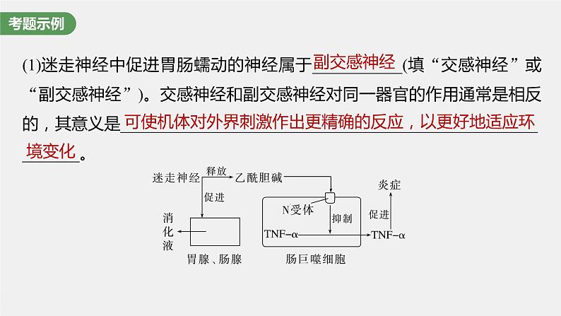 最新高考生物一轮复习课件（新人教版） 第8单元　长句表达(四)　个体稳态中相关过程变化机理分析06