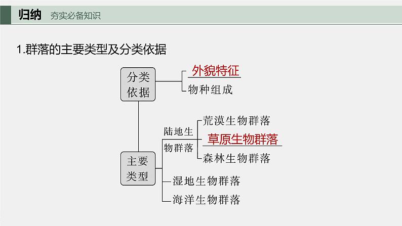 最新高考生物一轮复习课件（新人教版） 第9单元　第4课时　群落的主要类型及演替07