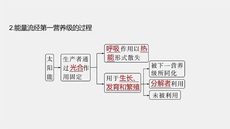 最新高考生物一轮复习课件（新人教版） 第9单元　第6课时　生态系统的能量流动08