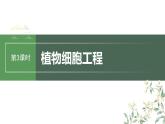 最新高考生物一轮复习课件（新人教版） 第10单元　第3课时　植物细胞工程