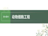 最新高考生物一轮复习课件（新人教版） 第10单元　第4课时　动物细胞工程