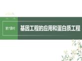最新高考生物一轮复习课件（新人教版） 第10单元　第7课时　基因工程的应用和蛋白质工程