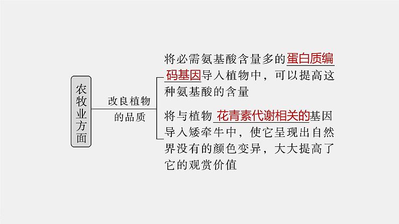 最新高考生物一轮复习课件（新人教版） 第10单元　第7课时　基因工程的应用和蛋白质工程08