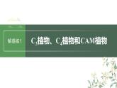 最新高考生物一轮复习课件（新人教版） 第3单元　解惑练1　C3植物、C4植物和CAM植物