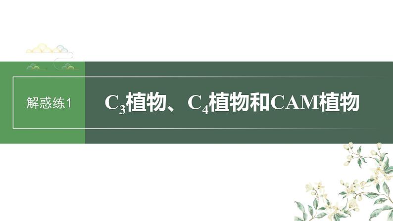 最新高考生物一轮复习课件（新人教版） 第3单元　解惑练1　C3植物、C4植物和CAM植物03