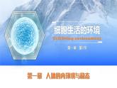 人教版2019高中生物选择性必修1课件1-1细胞生活的环境(新教材有限版)