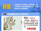 人教版2019高中生物选择性必修1课件1-1细胞生活的环境(新教材有限版)