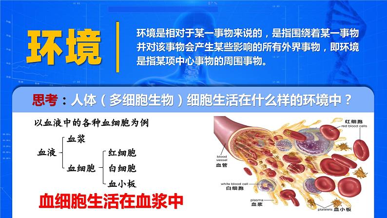 人教版2019高中生物选择性必修1课件1-1细胞生活的环境(新教材有限版)07