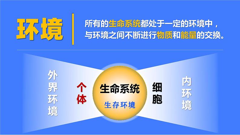 人教版2019高中生物选择性必修1课件1-1细胞生活的环境(新教材有限版)08