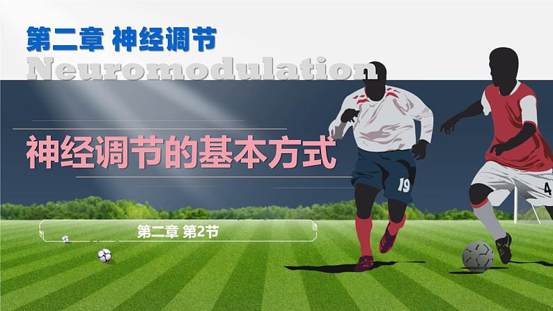 人教版2019高中生物选择性必修1课件2-2神经调节的基本方式(新教材有限版)第1页