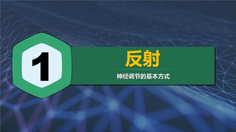 人教版2019高中生物选择性必修1课件2-2神经调节的基本方式(新教材有限版)第3页
