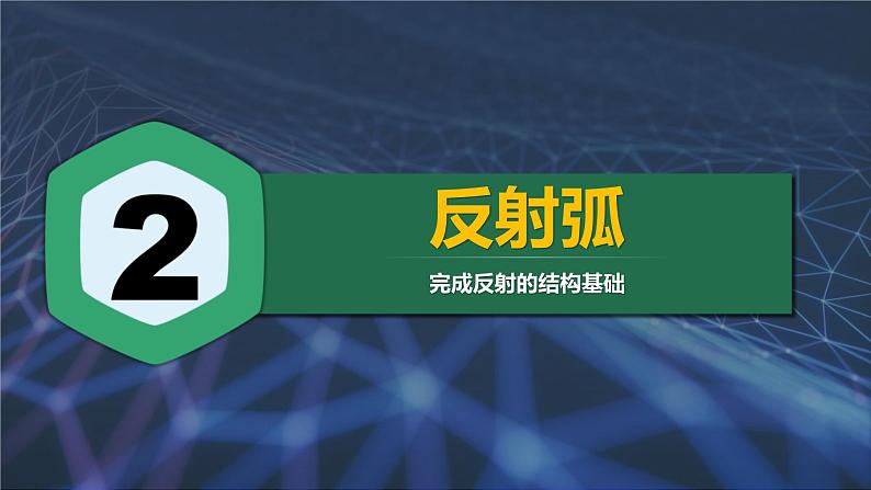 人教版2019高中生物选择性必修1课件2-2神经调节的基本方式(新教材有限版)第7页