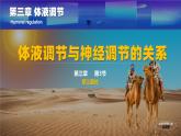 人教版2019高中生物选择性必修1课件3-3体液调节与神经调节的关系第1课时(新教材有限版)