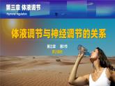 人教版2019高中生物选择性必修1课件3-3体液调节与神经调节的关系第2课时(新教材有限版)