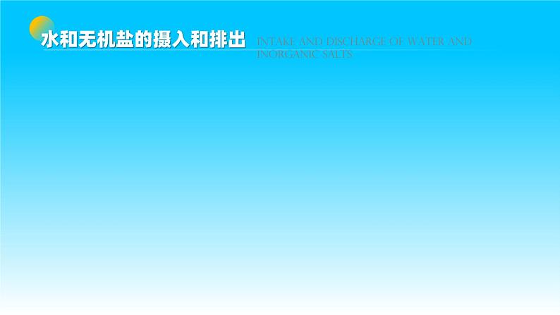 人教版2019高中生物选择性必修1课件3-3体液调节与神经调节的关系第2课时(新教材有限版)第5页