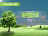 人教版2019高中生物选择性必修1课件5-1植物生长素第1课时(新教材有限版)