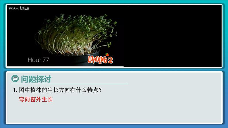 人教版2019高中生物选择性必修1课件5-1植物生长素第1课时(新教材有限版)03