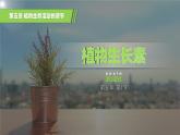 人教版2019高中生物选择性必修1课件5-1植物生长素第2课时(新教材有限版)