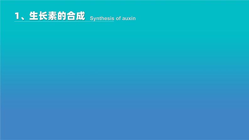 人教版2019高中生物选择性必修1课件5-1植物生长素第2课时(新教材有限版)05