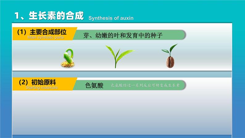 人教版2019高中生物选择性必修1课件5-1植物生长素第2课时(新教材有限版)08