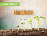 人教版2019高中生物选择性必修1课件5-2其他植物激素(新教材有限版)