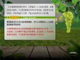 人教版2019高中生物选择性必修1课件5-3植物生长调节剂的应用(新教材有限版)
