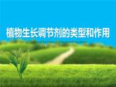 人教版2019高中生物选择性必修1课件5-3植物生长调节剂的应用(新教材有限版)