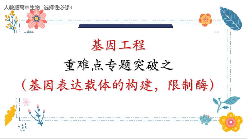 2024届高三二轮复习生物：基因工程-限制酶，基因表达载体的构建、引物课件第1页