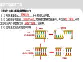 2024届高三二轮复习生物：基因工程-限制酶，基因表达载体的构建、引物课件