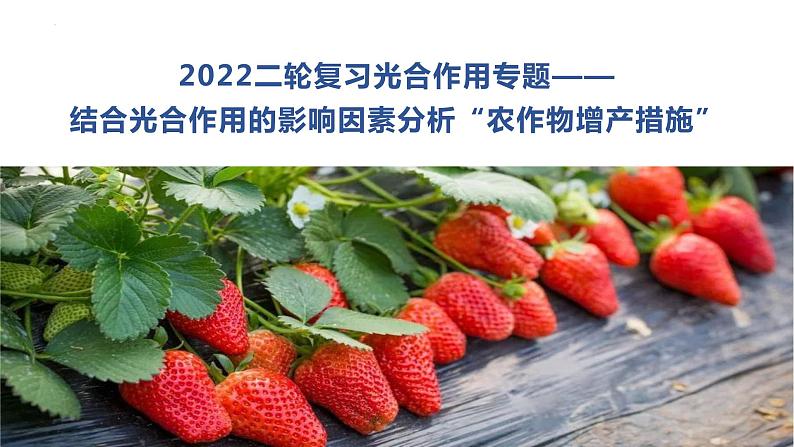 2024届高三二轮复习生物：农作物增产措施课件第1页