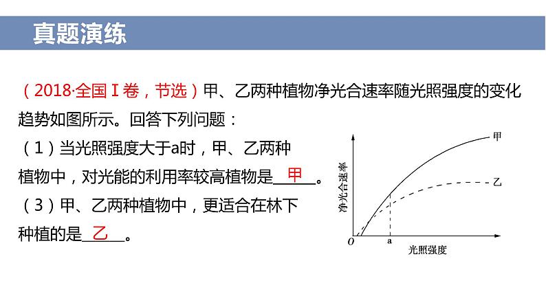 2024届高三二轮复习生物：农作物增产措施课件第6页