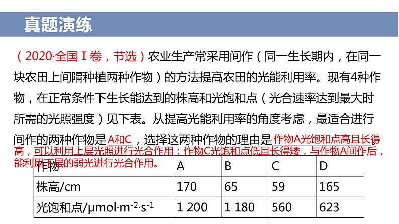 2024届高三二轮复习生物：农作物增产措施课件第8页