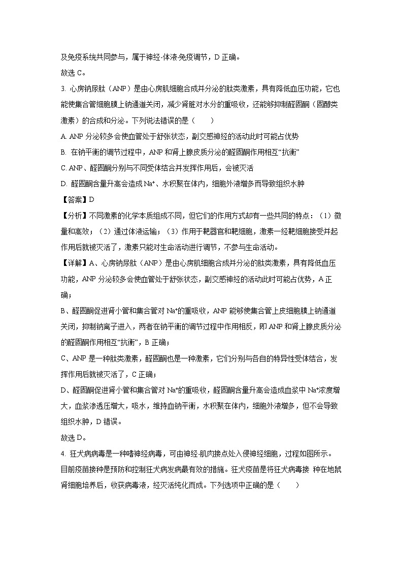 生物：广东省六校联考2023-2024学年高二下学期5月期中试题（解析版）03