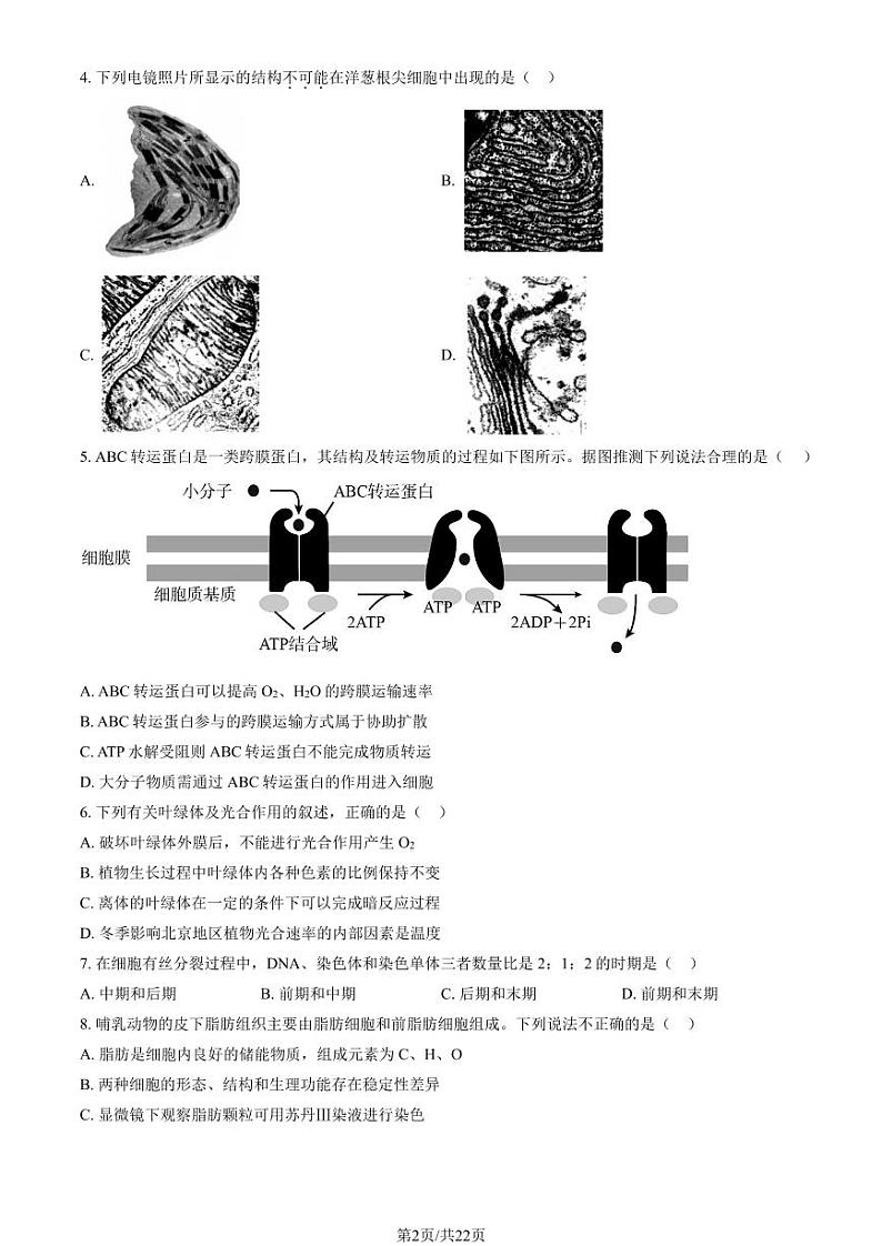 2023北京丰台高一（下）期末生物试卷（教师版）02