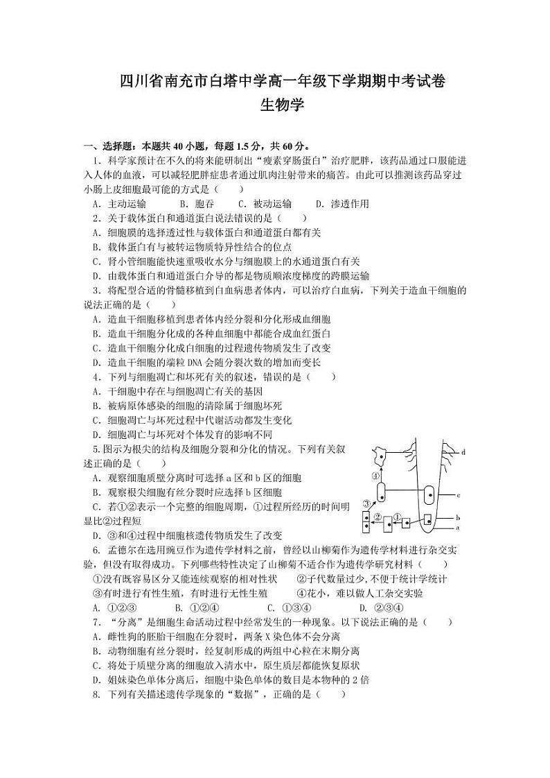 四川省南充市白塔中学2023-2024学年高一下学期期中考试生物试题01