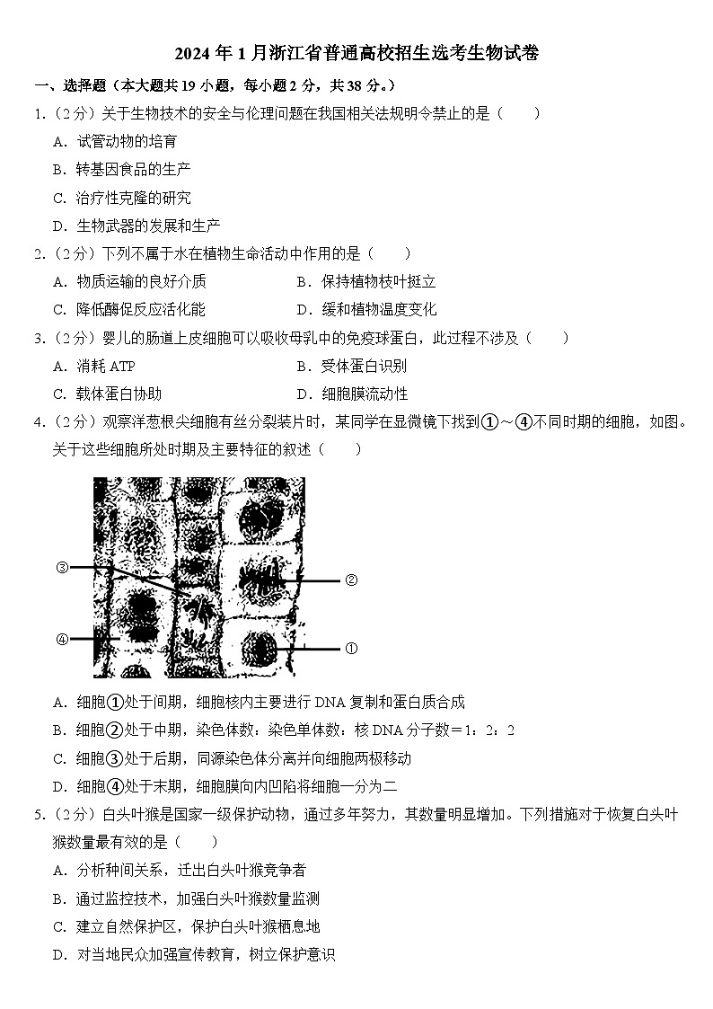 2024年1月浙江省普通高校招生选考生物试卷附答案01