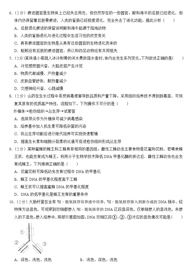 2024年1月浙江省普通高校招生选考生物试卷附答案02