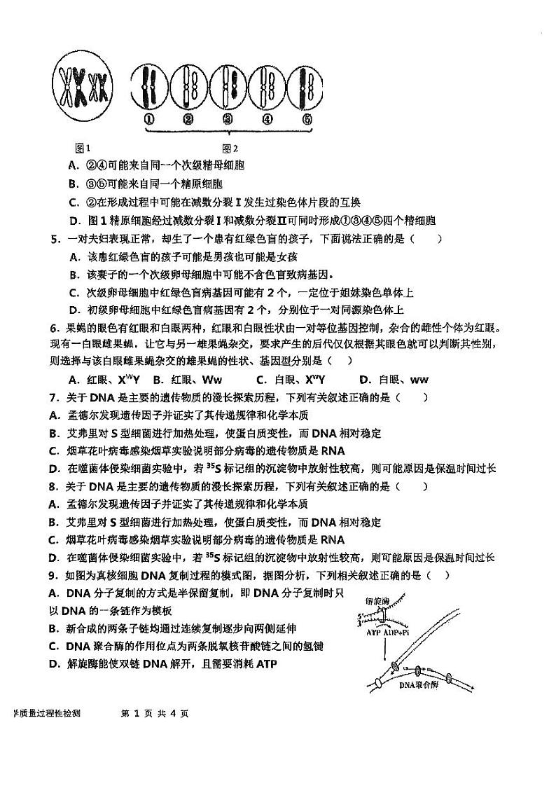 天津市北辰区南仓中学2023-2024学年高一下学期6月月考生物试题02
