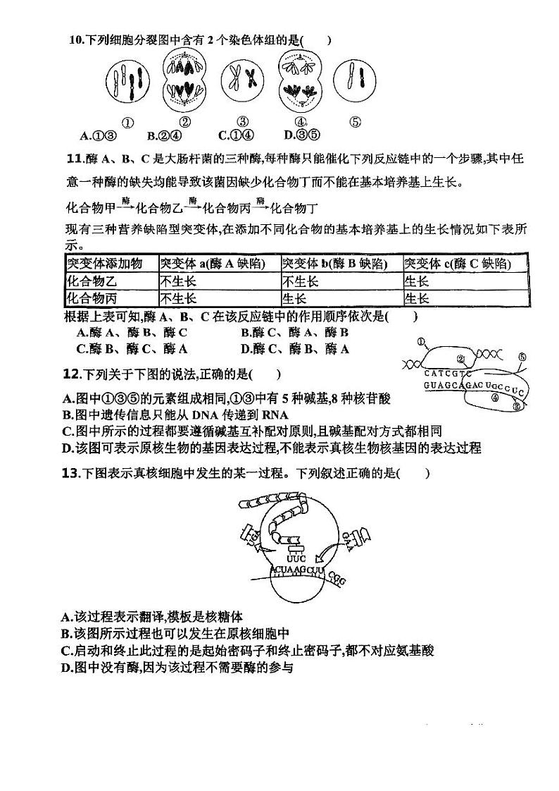 天津市北辰区南仓中学2023-2024学年高一下学期6月月考生物试题03