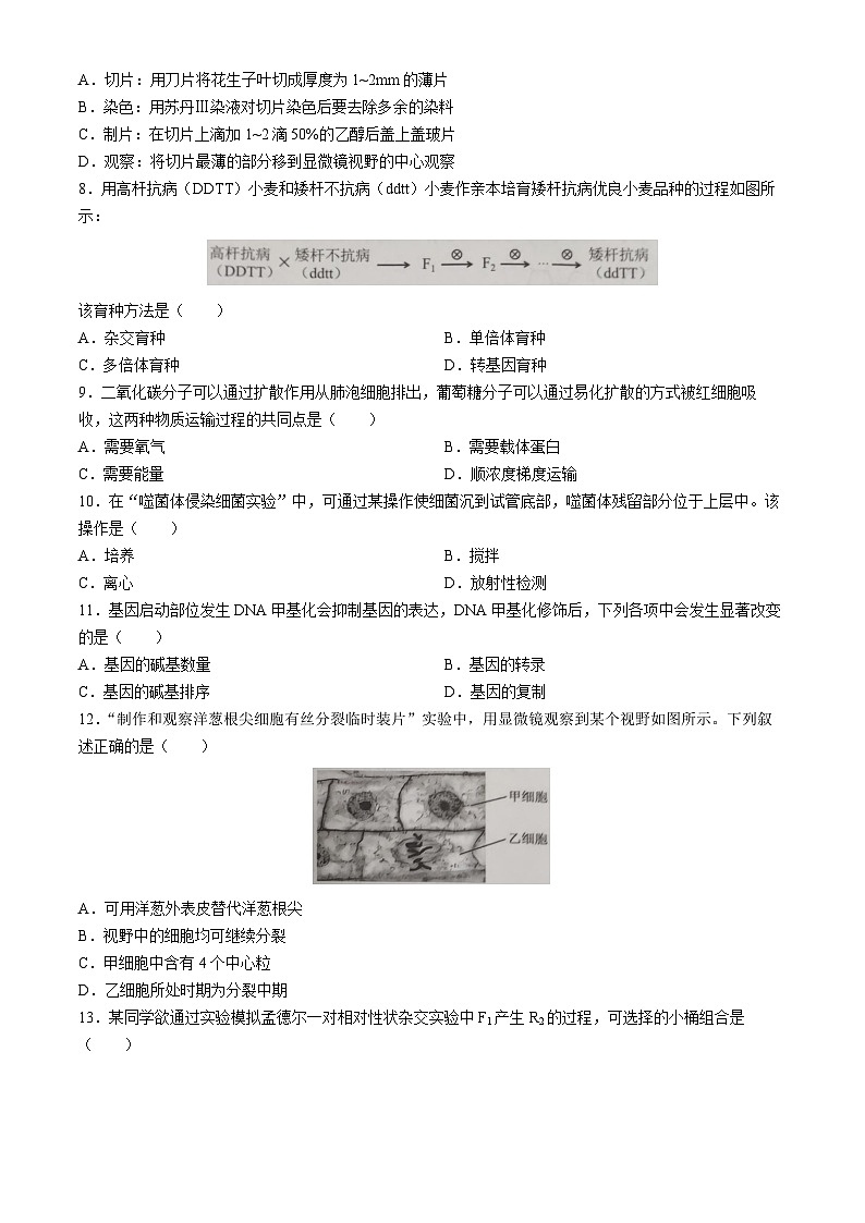 2024年6月浙江省温州市普通高中学业水平模拟测试生物试题02