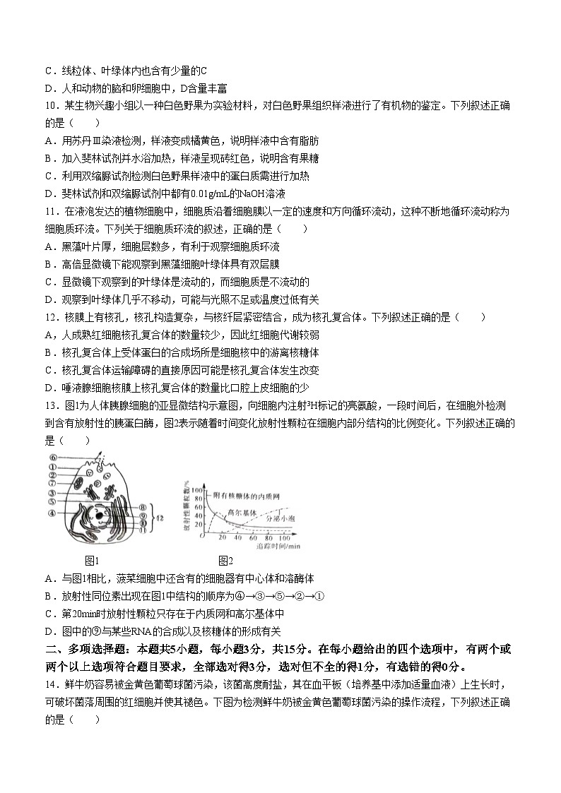 河北省石家庄市河北赵县中学2023-2024学年高二下学期5月月考生物试题03