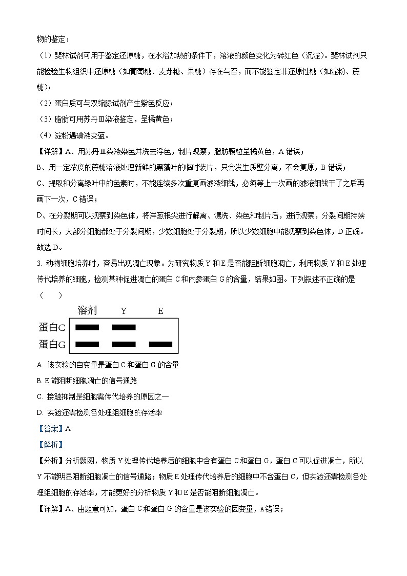 福建省泉州市鲤城区第五中学2024届高三下学期二模生物试题02